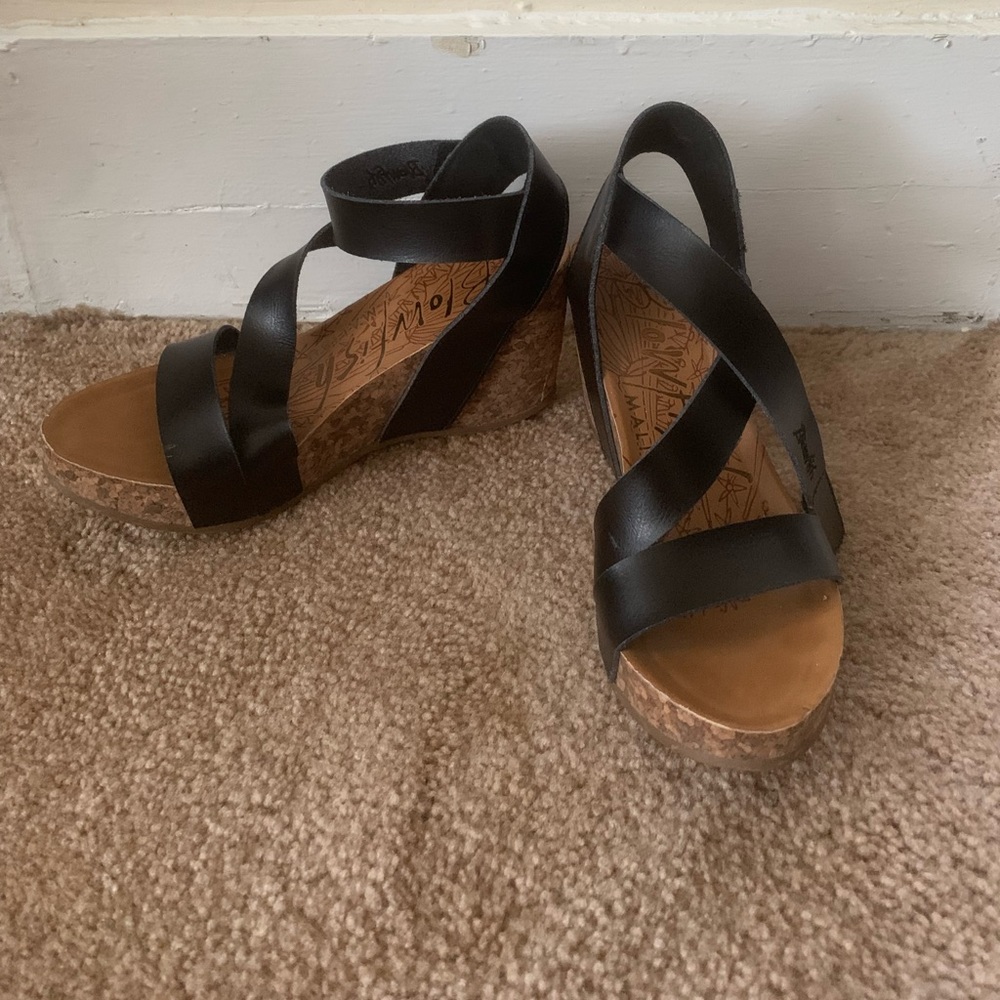 Blowfish Wedges